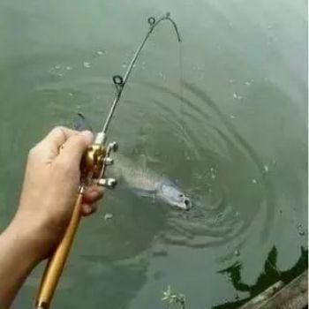 Вудка складана з котушкою та волосінню, телескопічна, Fishing rod in pen case, блешня, вудка ручка 933975446 фото